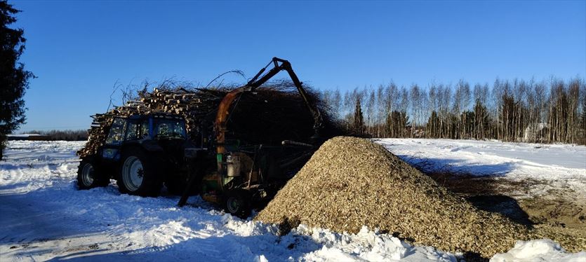 Pomoc w przygotowaniu terenu pod inwestycje i usługi leśne oraz ogrodnicze, Eco-Warm usługi leśne i ogrodnicze, Gdańsk